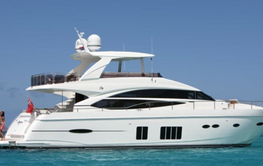 Princess Panthera Cove
