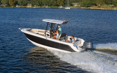 Robalo R242EX