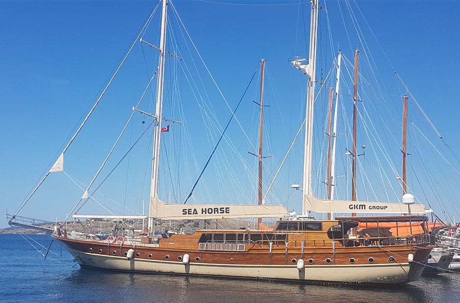 Custom Boats Seahorse