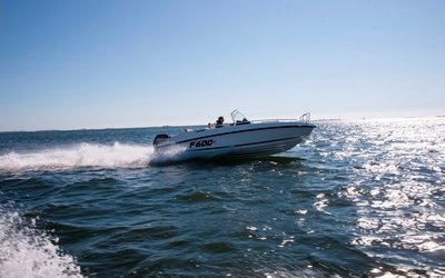 Flipper 600 SC