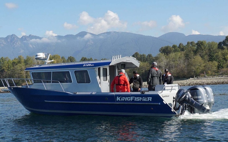 KingFisher 3125 GFX