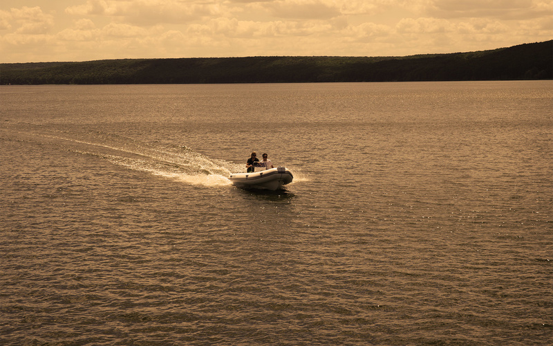 Brig Falcon 480