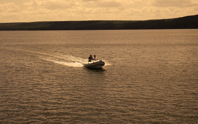 Brig Falcon 480