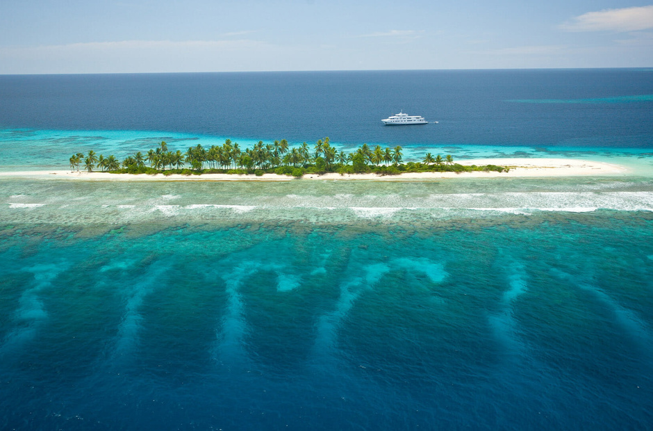 Image Marine True North