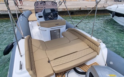 Salpa Soleil 23