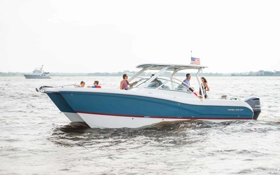 World Cat 296DC
