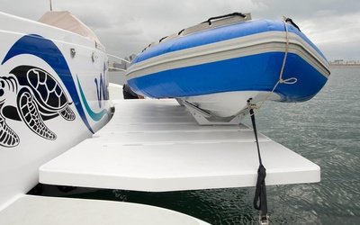 Royal Cape Majestic 530