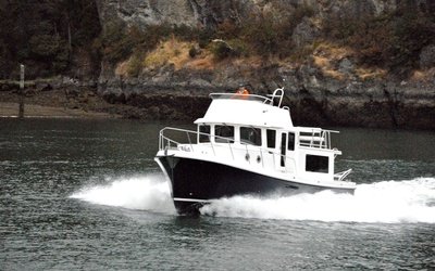 American Tug 365