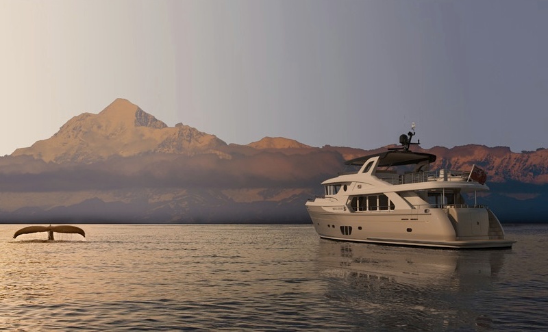 Selene 78 Ocean Explorer