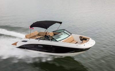 Sea Ray SDX 250