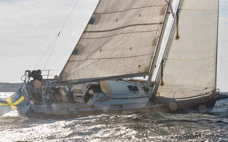 Heyman Celeste 36