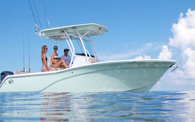 Sea Fox 248 Commander