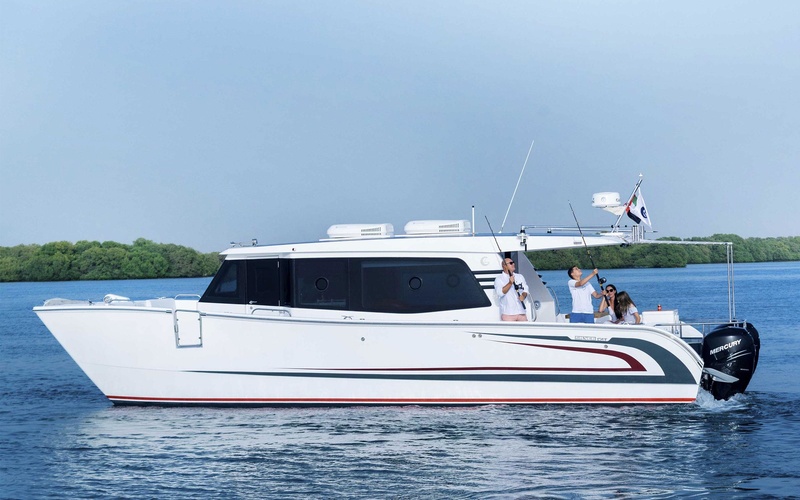SilverCat 40LUX