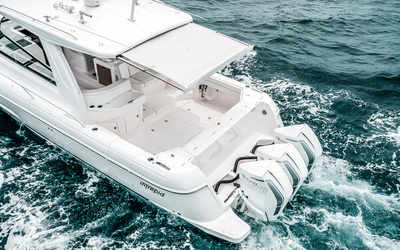 Intrepid  438 Evolution
