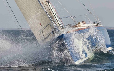 Heyman Celeste 36