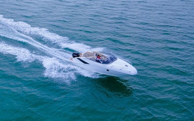 FS 215