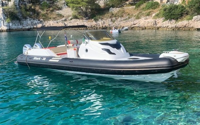 Grginic Shark 38