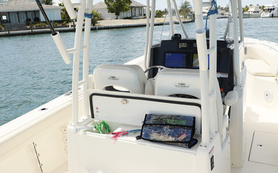 Cobia 301 CC