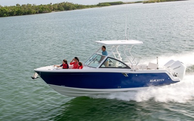 Blackfin 252DC