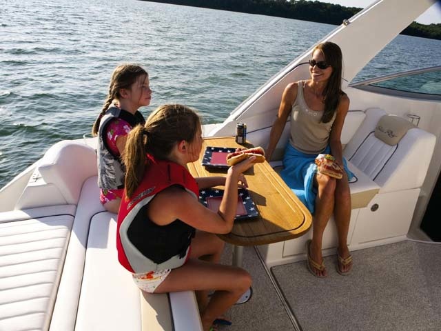 Sea Ray 310 Sundancer