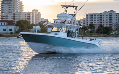 Everglades  365CC