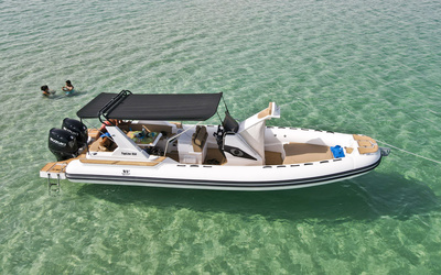 Tiger Marine TopLine 950