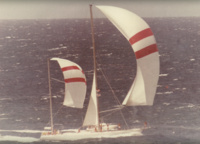Гонка 1977 года навсегда осталась в истории Transpac. Рекорд скорости, поставленный экипажем яхты Merlin (8 дней, 11 часов, 1 минута и 45 секунд) никто не сможет побить следующие 20 лет, вплоть до 1997 года. Только тогда семейная команда лодки Pyewacket сможет улучшить это время почти на сутки, показав результат 7 дней, 15 часов, 24 минуты и 40 секунд.
