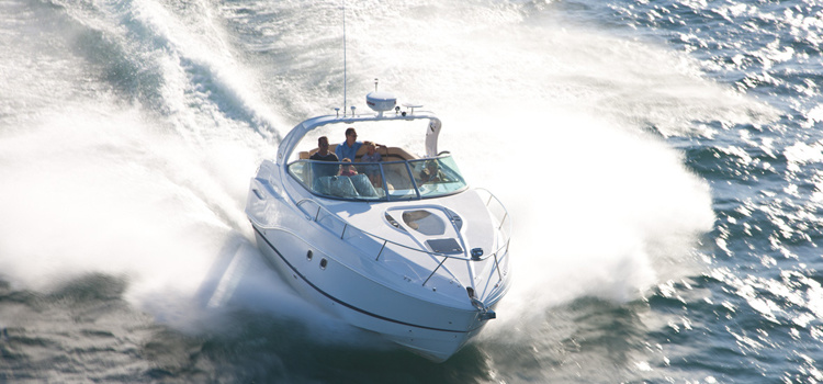 Rinker 310 EC