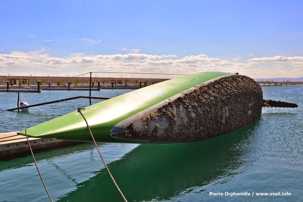 The shells ate the boat