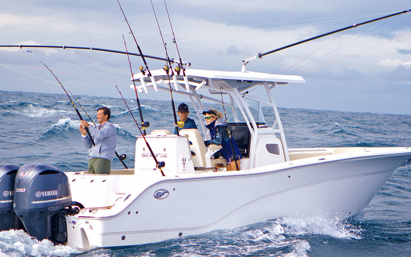 Sea Fox 288 Commander