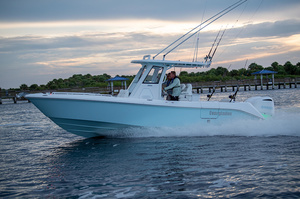 Everglades  295CC