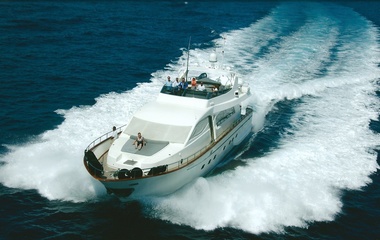 Falcon Amorina