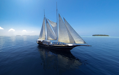 Custom Dream Voyager