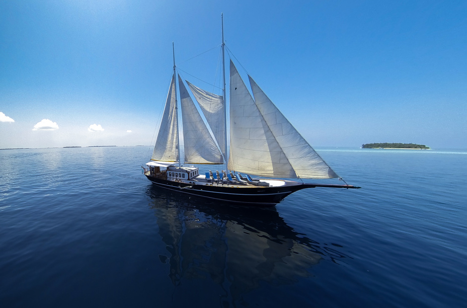 Custom Dream Voyager