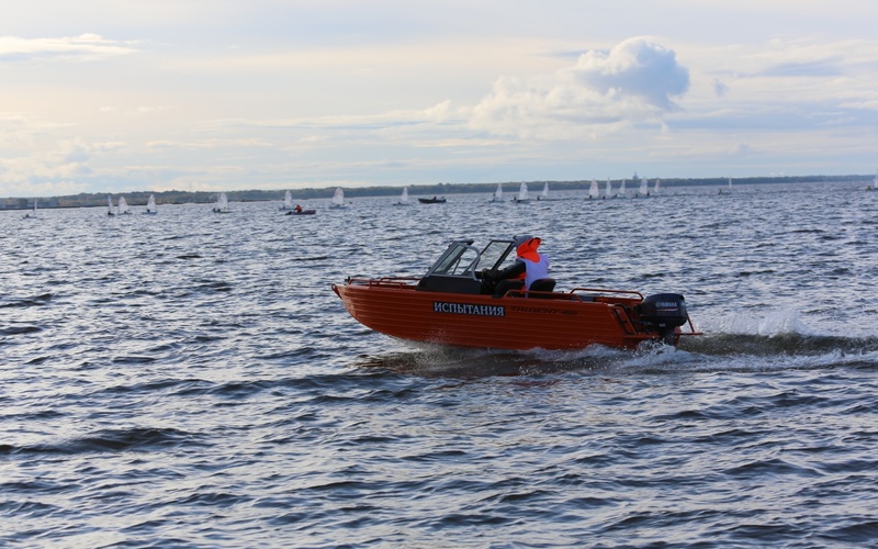 Trident 450 Fish