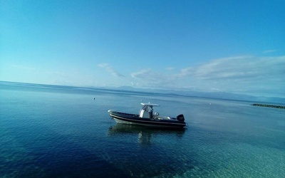 3D Tender Dream 850