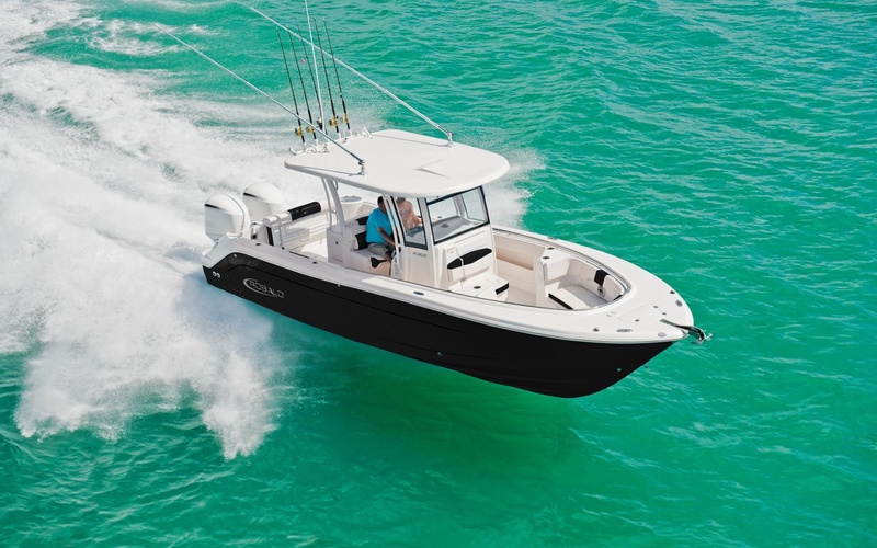 Robalo R302
