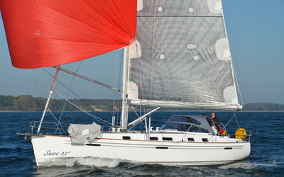 Saare 41ac