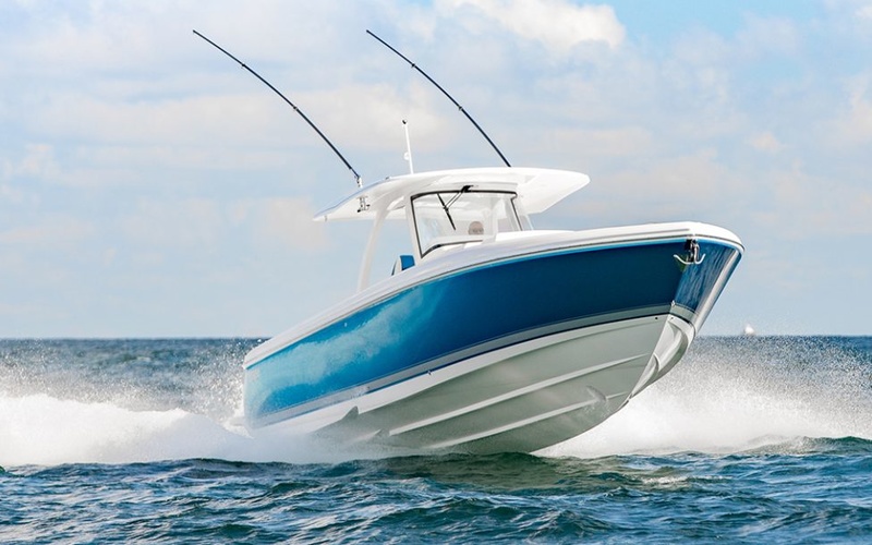Intrepid  407 Panacea