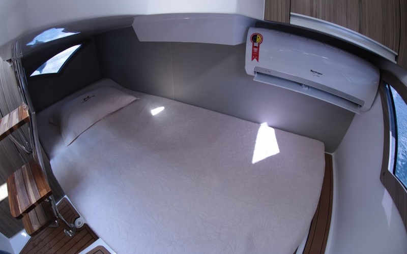 NX 290 Exclusive Edition