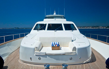 Falcon Bora