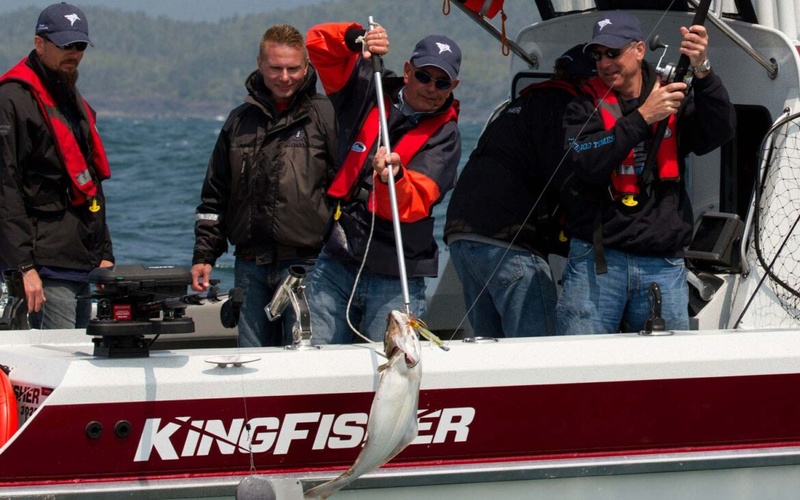 KingFisher 2825