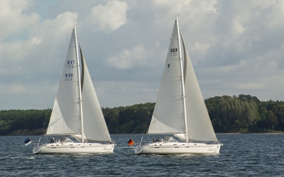 Saare 41 cc²