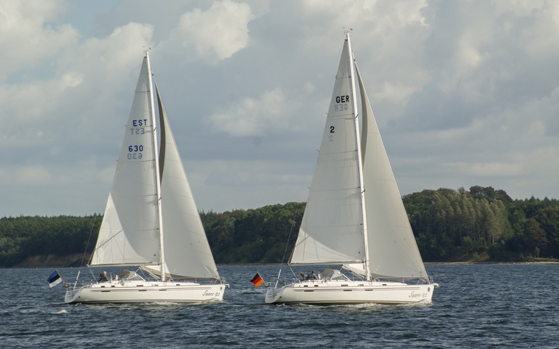 Saare  41 cc²