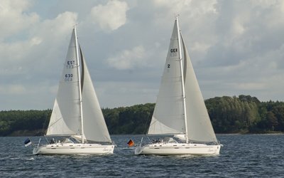 Saare  41 cc²