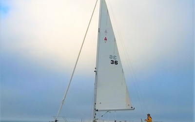 Catalina 315