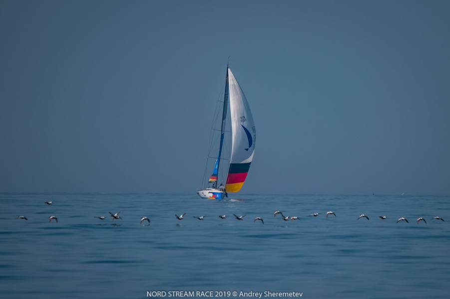 North German Regatta Association