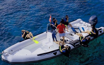 Zodiac PRO 850