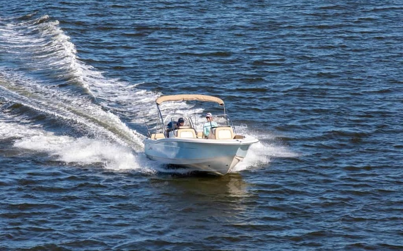 Scout 195 Sport Dorado