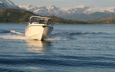 Capelli Dino 26